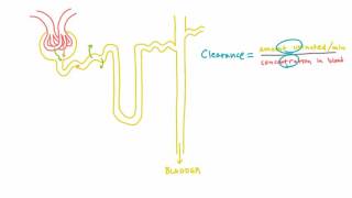 Introducing Clearance  An Intuitive and Mathematical Definition [upl. by Ayokahs57]