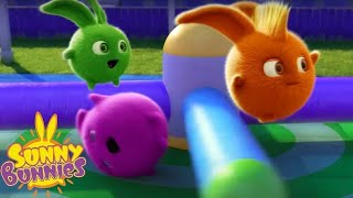 SUNNY BUNNIES  JUMP  Season 7 COMPILATION  Cartoons for Children  Wildbrain Wonder [upl. by Scevour]