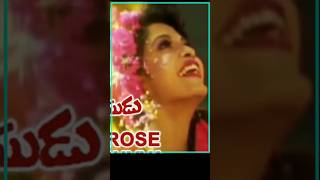 Allari Priyudu  Cheppakane allaripriyudu telugusongs rajashekar ramyakrishnan madhubala [upl. by Risan]