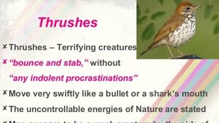 Thrushes by Ted Hughes in Malayalam [upl. by Chiles]