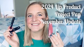 2024 Lip Product Project Pan November Update [upl. by Octavian]