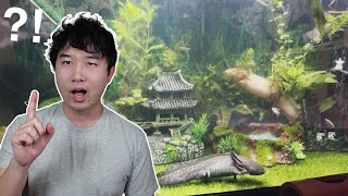 the CRAZIEST Axolotl tank Ive seen  Fish Tank Review 227 [upl. by Duster]