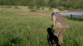 Retriever Training Drills Lining amp Handling [upl. by Ettelimay597]