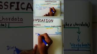 Classification of chordata classificationofchordatainhindi zoologyclasses bsc [upl. by Namruht]