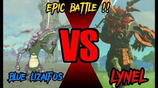 Lynel VS Blue Lizalfos The Legend of Zelda Tears of the Kingdom [upl. by Denison]