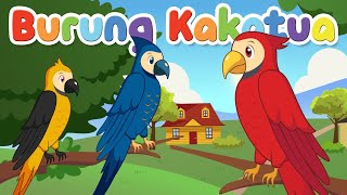 BURUNG KAKAKTUA  BURUNG KAKATUA  BURUNG KAKAK TUA  LAGU ANAK POPULER INDONESIA  KARAOKE LIRIK [upl. by Tiler609]