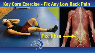 Key Core Exercise to Heal Any Low Back Injury  Part 23 [upl. by Adnowal]