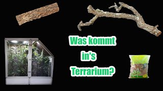 WIE statte ich mein TERRARIUM aus  Chamäleon Basics [upl. by Natloz]