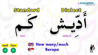 Standard Arabic vs Levantine Dialect Conversation How Many amp How Much [upl. by Chessy]