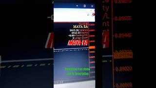 MAYA EA  Triangular Currency Arbitraging Bot  forex fx [upl. by Keemahs]