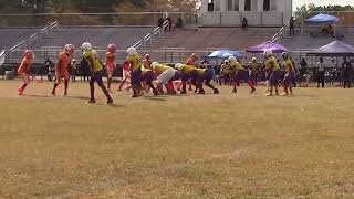 Deathrow Wildcats 12u vs Pleasant Grove 12u Highlights [upl. by Dirfliw]