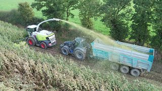 😍Une soirée densilage 2024 en 12 rangs avec lEta Melin  Jaguar 980 amp 9340 TTV Warrior 💨 [upl. by Ennoryt]