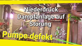 Niederdruck Dampfkessel Loos 7000kgh auf Störung  Doku [upl. by Arraic]