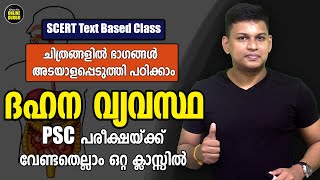 Human Digestive System  മനുഷ്യ ദഹനവ്യവസ്ഥ  അറിയേണ്ടതെല്ലാം ✌  SCERT IX Biology  2 Based Class 👍 [upl. by Jerrilee]