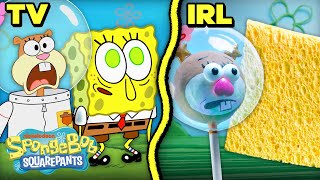 SpongeBob Goes quotWildquot IRL 🐾  quotFeral Friendsquot Recreation  SpongeBob [upl. by Nylarat]