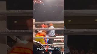 SLO MO ROLLY ROMERO STOPPING ISMAEL BARROSO  WAS IT THE RIGHT CALL [upl. by Ilenna]