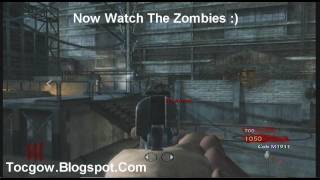 CoDWaW Der Riese Glitch  NEW Zombie Barrier Glitch  Tutorial [upl. by Davita]