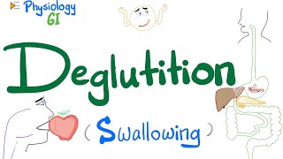 Deglutition Swallowing  Mouth Pharynx amp Esophagus  Gastrointestinal GI Physiology [upl. by Ekralc949]