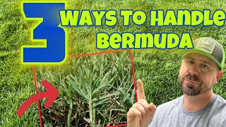 My Top 3 Methods For Handling Bermuda In A Cool Season Lawn [upl. by Edgerton]