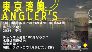 【東京湾奥】隅田川／橋の下でドン／2024 7月中旬／テクトロ／ストライクヘッド／原点回帰／水質は回復傾向【シーバス釣りCan We Catch Fish In Tokyo Bay 64 [upl. by Noletta]