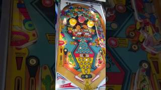 Sonic Prospector pinball machine [upl. by Nereus339]