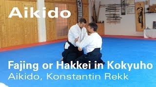 Aikido Principles  Fajing Hakkei Application in Balance Breaking Kuzushi [upl. by Havard672]