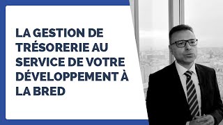 ENTREPRISE Découvrez la gestion de trésorerie au service de votre développement à la BRED [upl. by Animlehliw]