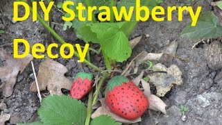 How To Protect Your Strawberries From Birds for FREE [upl. by Lebatsirhc]