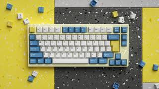 Exclusive E7V275 custom keyboard [upl. by Tezil]