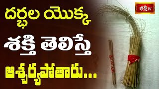 దర్భల యొక్క శక్తి తెలిస్తే ఆశ్చర్యపోతారు  Dharma Sandehalu [upl. by Andrej]