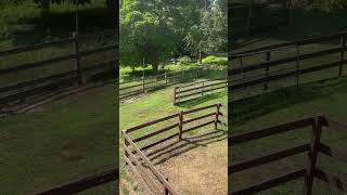 Hayloft view accidentalfarmer farming farmer  homesteading [upl. by Hennahane]