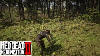 Arthur Cant Help Eating Oleander Sage  Red Dead Redemption 2 [upl. by Ahsyt]