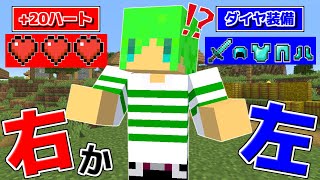 究極の2択を選べる世界でサバイバル！？【マインクラフト】 [upl. by Dorn196]