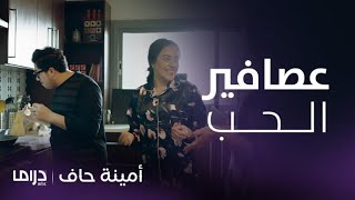 مسلسل أمينة حاف  حصة تقع في غرام زوجها عبود وكأنهم بشهر عسل [upl. by Zoie922]