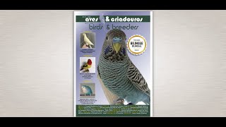 Aves amp Criadouros  Revista nº1 [upl. by Shipley]