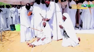 Bishop Ngoni Mwazha performs a miracle in Bulawayo as he heals a nonambulatory lady [upl. by Bala130]