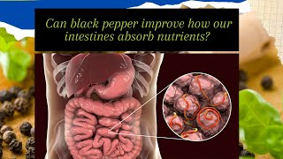 Black Pepper Essentials Cooking Techniques Weight Loss and Health Risks [upl. by Annahvas]