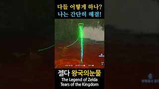 The Legend of Zelda Tears of the Kingdom 159 shorts zelda zeldatearsofthekingdom zeldatotk fyp [upl. by Eelyam]