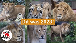 Het FELIDA jaaroverzicht van 2023 [upl. by Acirretahs]