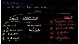 6 Metabolism  Microsomal Enzymes  Inducers amp Inhibitors  NonMicrosomal  ADME  Krok [upl. by Irotal329]