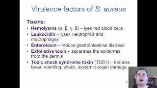 Chapter 18  The Cocci of Medical Importance [upl. by Arratoon]