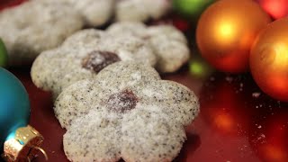 Mohnkringel  Mohnplätzchen  Leckere Weihnachtsplätzchen mit der Gebäckspritze  Sallys Welt [upl. by Retsek356]