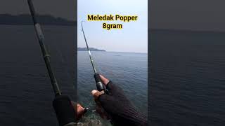 GT vs Joran 15 lbs Rell siena 1000 popper 8gram mancing mancingkarangdangkal castingkarang [upl. by Earas278]