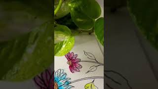 Flower for all occasions craft shorts viralvideo water bookmark naturephotography drawing [upl. by Annaesor887]