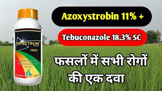 Azoxystrobin 11  Tebuconazole 183 SC  Fungicide  Azoxystrobin  Tebuconazole Fungicide [upl. by Nolla]