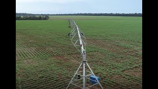 IRRIGAÇÃO COM PIVÔ CENTRAL TECNOLOGIA QUE PERMITE FAZER TRÊS SAFRAS [upl. by Lundgren]