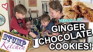 Chewy amp Delicious GINGER CHOCOLATE COOKIES Vegan  Gluten Free [upl. by Jessie426]