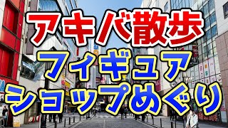 秋葉原もフィギュアは縮小化！？ラジ館が希望の塔になりつつある現実。だがやはりアキバはエロい大人の街 [upl. by Sturges]