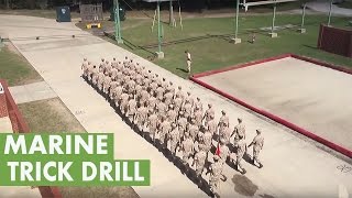 Platoon of Marines perform trick drill [upl. by Duck]