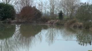 TODDINGTON FISHERY TODDINGTON BEDFORDSHIRE [upl. by Lillian312]